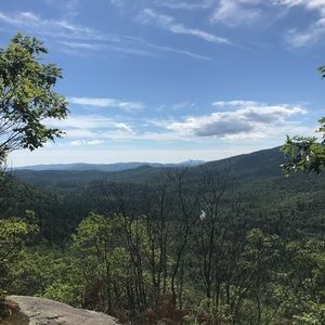 Meet your Posher, Oliver